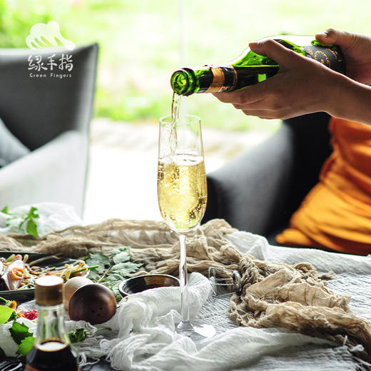 生物动力葡萄酒（有机）| 公平贸易*Biodynamic-wine（organic）| Fair-trade 商品图1