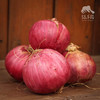 生态洋葱（河北） | 合作生产* Eco- onion | Coproduction 商品缩略图3