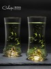 凯洛诗CALOPS江山绿茶杯套装水晶玻璃家用耐热茶杯多用水杯礼盒装 时尚 轻奢 茶杯 商品缩略图4