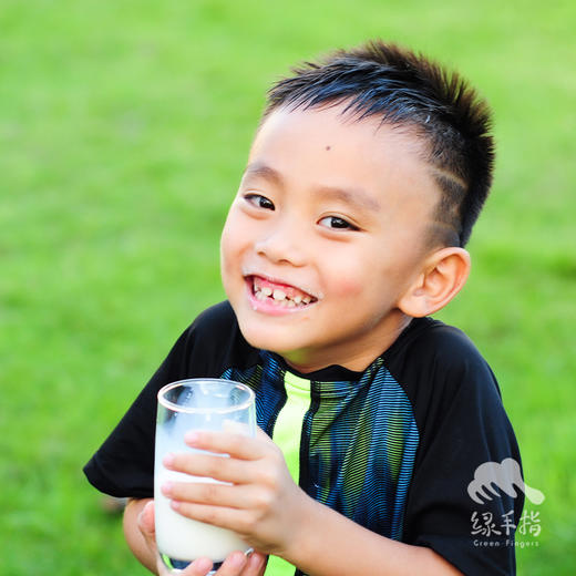 有机纯牛奶| 公平贸易*Organic  milk | Fair-trade 商品图1