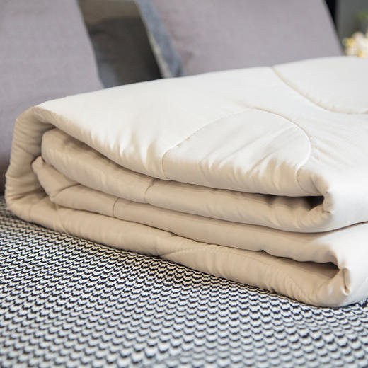 【售罄】正安国货·艾绒被  双人家用蕲艾绒棉被传承外敷理疗养身保暖透气 包邮 商品图1