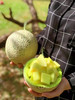 牛3玫珑蜜瓜🍈粗蜜高端网纹，香甜绵蜜 商品缩略图9