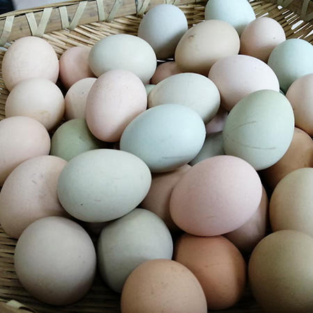 万源黑鸡蛋30枚 商品图1