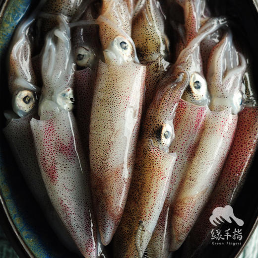 野生活冻小管 | 合作生产 * Wild Dongshan Island seafood | Coproduction 商品图2