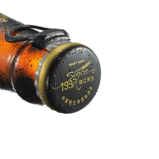 珠江啤酒纯生啤酒528ml冰爽鲜酿9度经典 商品图2