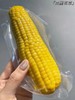 田里有草玉米，甜田苞鲜糯玉米 公主岭玉米 非转基因 200g/根 商品缩略图2