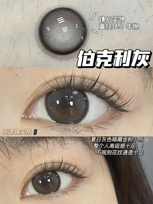 【小红书推荐款】econo，伯克利灰，年抛/直径14.2/着色13.3，168/一副， 268/两副 商品图0