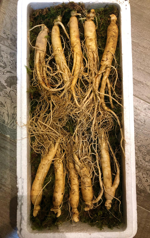 （永久下架）【吉林鲜参】长白山5年园参 商品图2