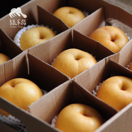 有机香水梨 | 合作生产 *Organic pear | Partner Production 商品图2