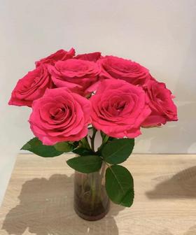 【秒杀福利】高胜 （高盛）20枝/扎