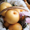 有机香水梨 | 合作生产 *Organic pear | Partner Production 商品缩略图3