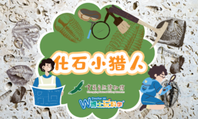 【重庆】重庆自然博物馆｜化石小猎人：神秘路线B