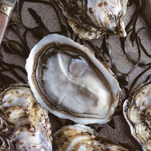 【9折现货】玫瑰粉钻生蚝 (Tarbouriech) 商品图2