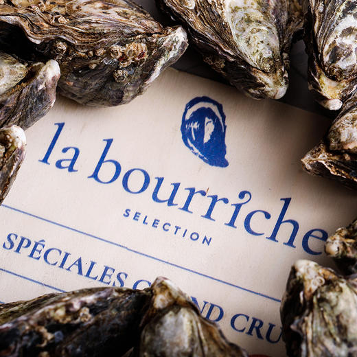 【单只现货】布锐琪·马奥伦甄选生蚝(La Bourriche · Spéciales Grand Cru, Marennes-Oleron) 商品图1