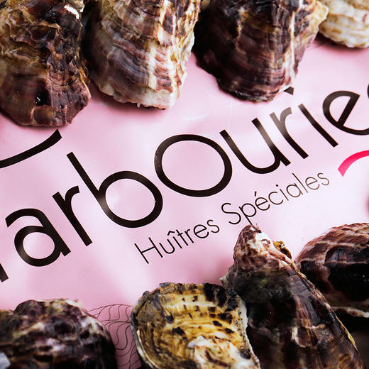 【9折现货】玫瑰粉钻生蚝 (Tarbouriech) 商品图1