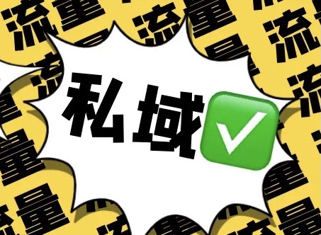 惜别公域流量红利，流量电商的终局在哪？