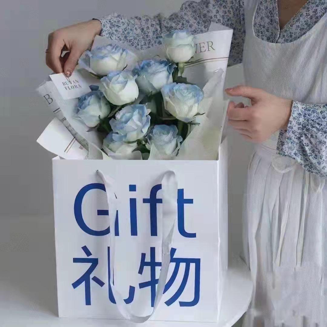 时尚手提袋--礼物袋（5个/包）.