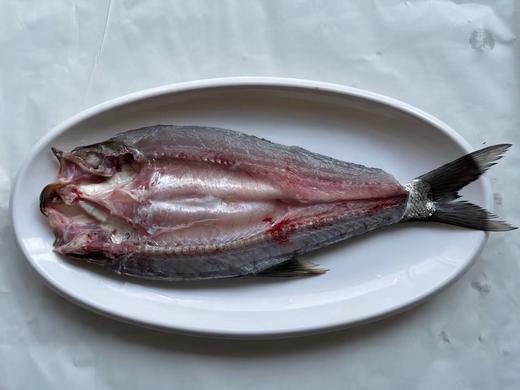 【武汉.黄陂】江城百臻木兰渔翁大白刁6斤正负0.2斤（4-6条） 商品图3