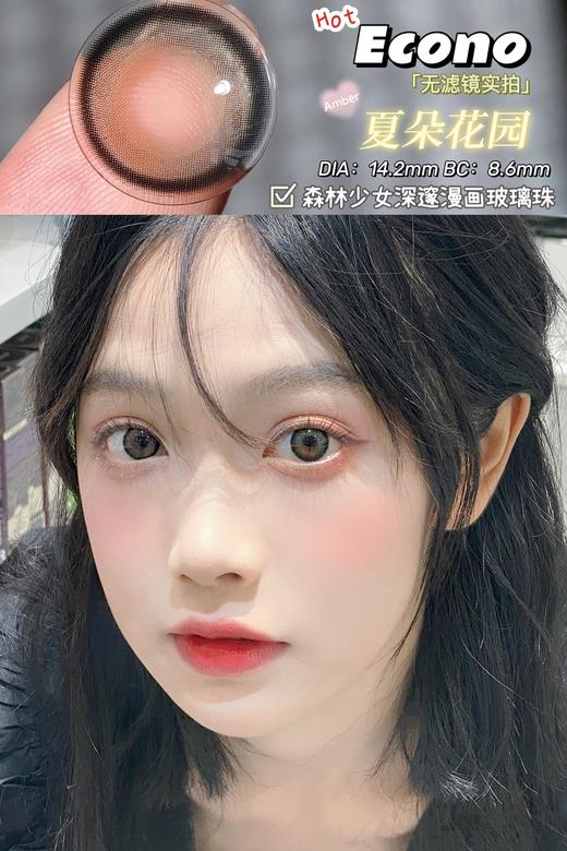 【小红书推荐款】econo，夏朵花园，年抛/直径14.2/着色13.3，168/一副， 268/两副 商品图12