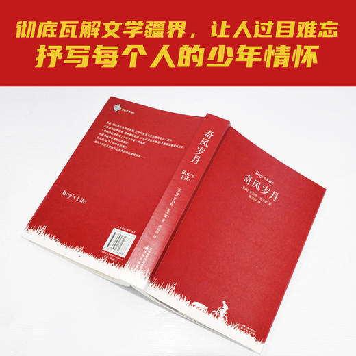 奇风岁月 商品图2