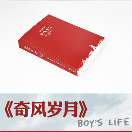 奇风岁月 商品图4