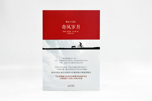 奇风岁月 商品图6