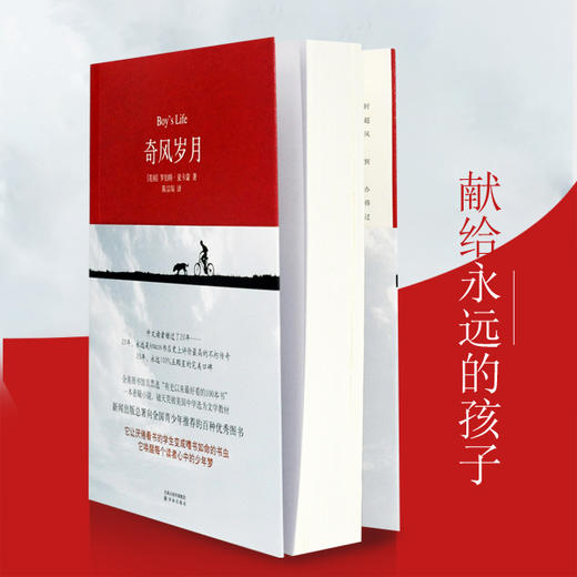 奇风岁月 商品图0