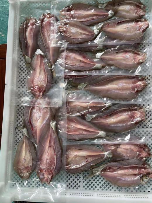 【武汉.黄陂】江城百臻木兰渔翁大白刁6斤正负0.2斤（4-6条） 商品图9