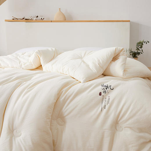 【换季出清】自然醒A类母婴级生机原棉大豆纤维被子加厚保暖冬被四季通用春秋被棉被芯LFS 商品图3