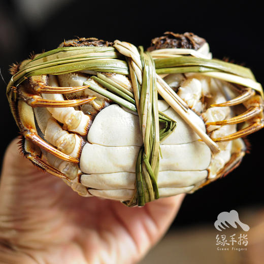 有机大闸蟹（买一箱送一只2.5两母蟹，4号发货，且最后一次发货） | 合作生产*Organic Hairy crab | Partner Production 商品图1