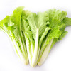 【生鲜预定】小白菜去根1kg 商品缩略图0