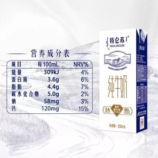 蒙牛特仑苏纯牛奶250ml全脂灭菌营养早餐必备 商品图2