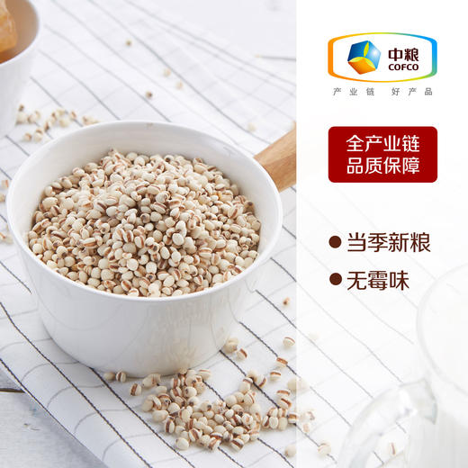 【临期保质期到26.7.11】中粮初萃单袋辽阳薏米400g（意米仁本身自带意仁清香如不能接受者慎拍） 商品图2