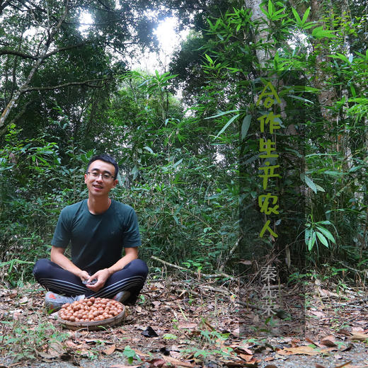 生态冻干菠萝蜜 | 绿家自产*ecological freeze-dried Beetroot | Self-production 商品图1