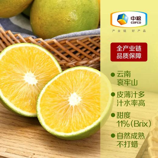 【分仓直发包邮】中粮安萃哀牢山冰糖橙礼盒5kg (一级/优级/特级) 商品图1
