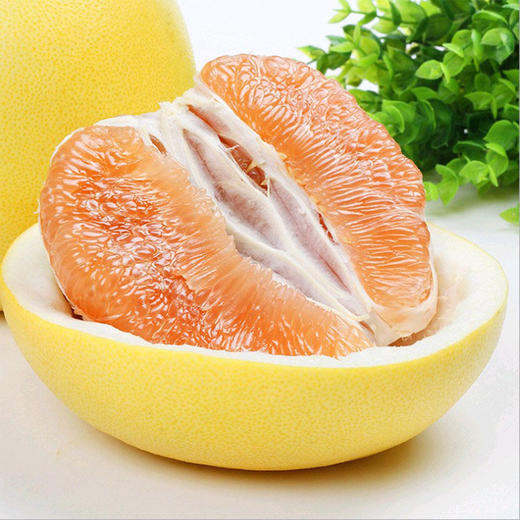 霍口黄金蜜柚(1.25-2kg/个)【LY】 商品图0