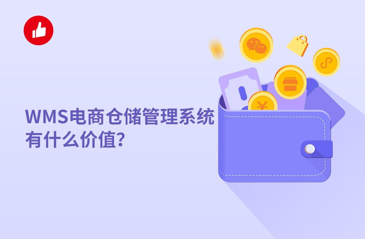 WMS电商仓储管理系统有什么价值?有哪些功能?