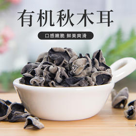 KL 黑龙江 齐齐哈尔 有机小秋耳  肉质肥厚  口感爽滑   无根无杂质