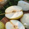有机酥梨 | 合作生产 *Organic crisp pear | Partner Production 商品缩略图3