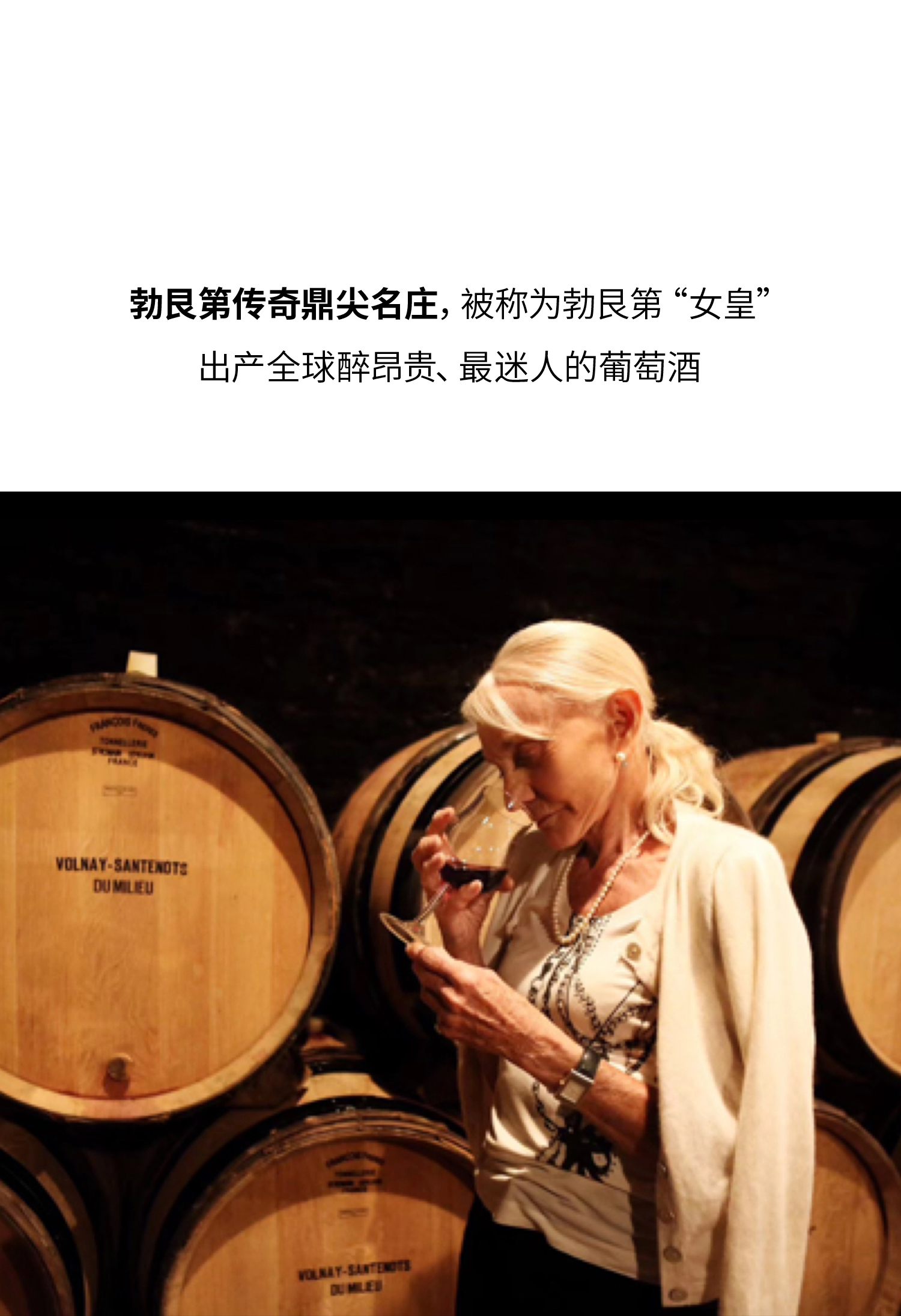 勒桦酒庄勃艮第山丘干红 maison leroy coteaux bourguignon rouge