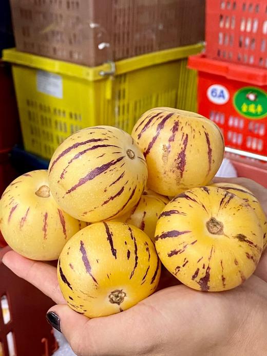 云南石林风化石人参果 商品图3