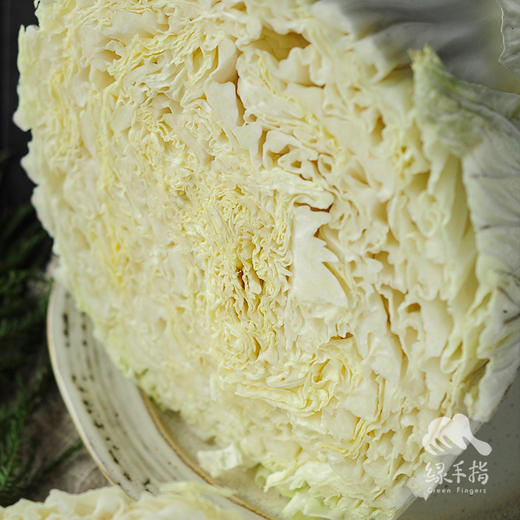 生态翠玉大白菜 | 合作生产* Ecological emerald Chinese cabbage  | Coproduction 商品图5