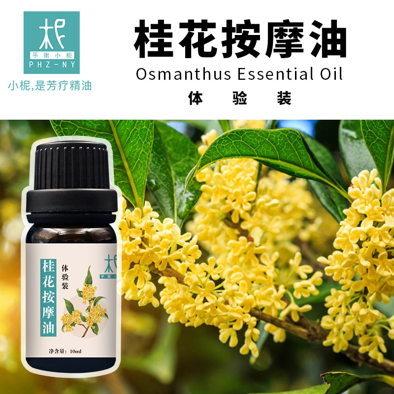 桂花精油/净油身体按摩油体验装10ml