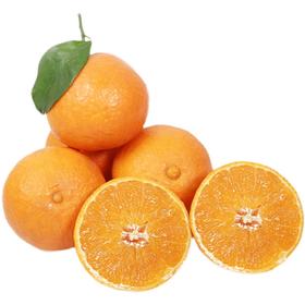 正宗浙江红美人果冻橙一斤