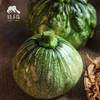 生态小南瓜 | 绿家自产*Eco-small pumpkin | Self-production 商品缩略图0