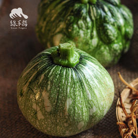 生态小南瓜 | 绿家自产*Eco-small pumpkin | Self-production