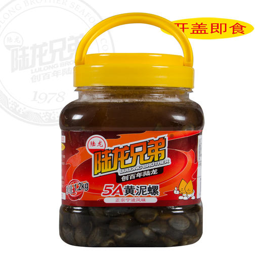 6012陆龙兄弟1.2kg 5A黄泥螺 商品图1