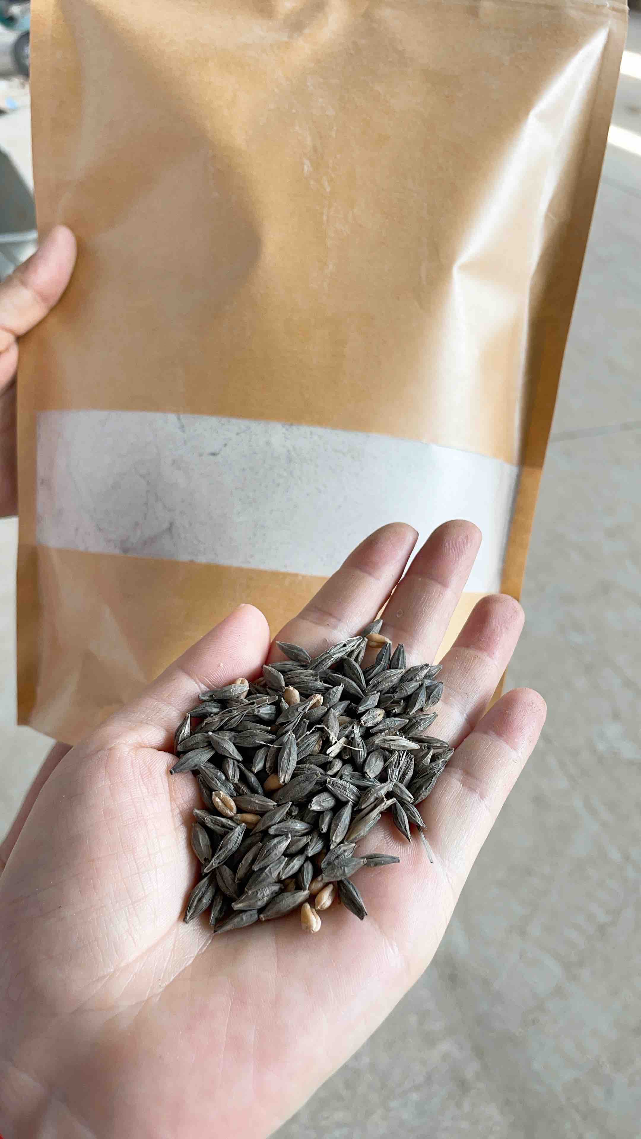 黑大麦粯子,一袋2斤