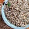 六不用 白芝麻 每份1斤 【弘毅六不用生态农场】 商品缩略图0