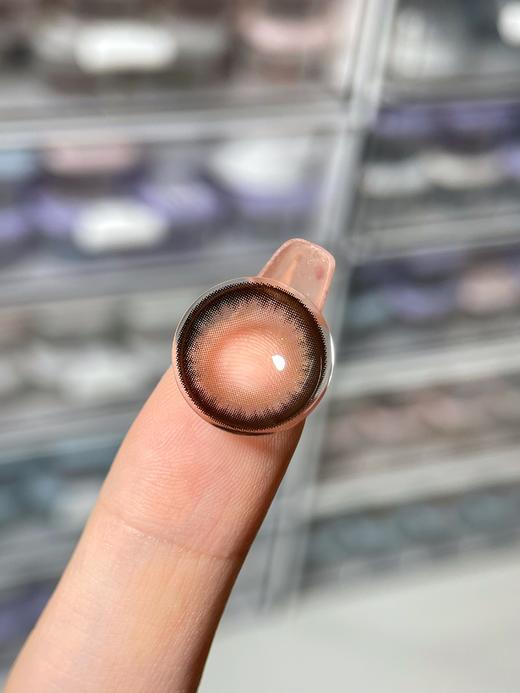 Ocean girl 旗下 · 【白狮超推荐！】【年抛/日抛均有售】苦桃 O-1｜日抛｜14.4mm白狮参考着色大直径 商品图2